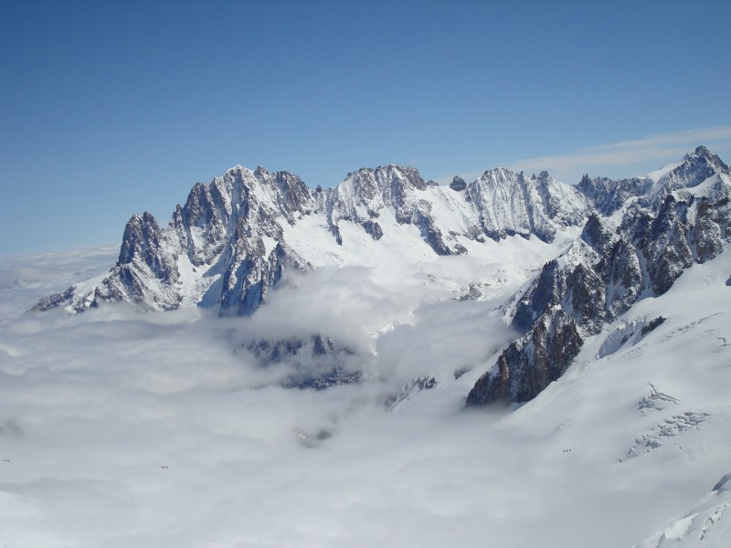 55567-verte.jpg