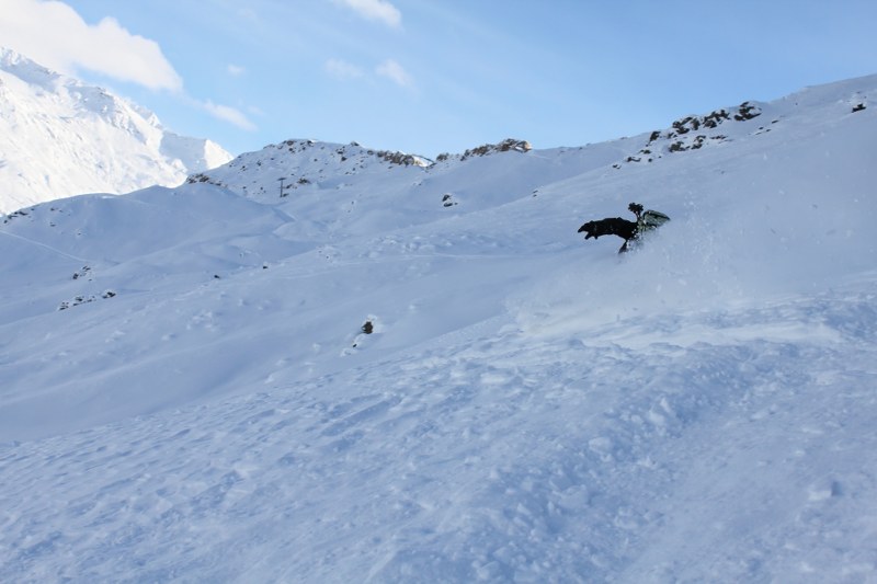 58880-img1724800x533.jpg