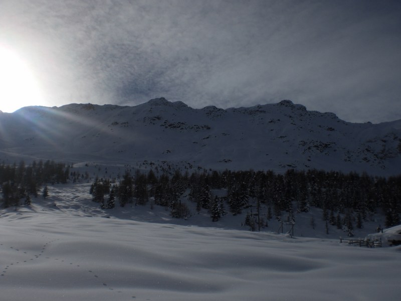 58886-cimg7397800x600.jpg