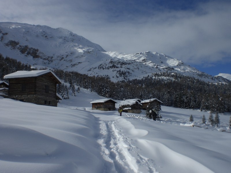 58887-cimg7398800x600.jpg