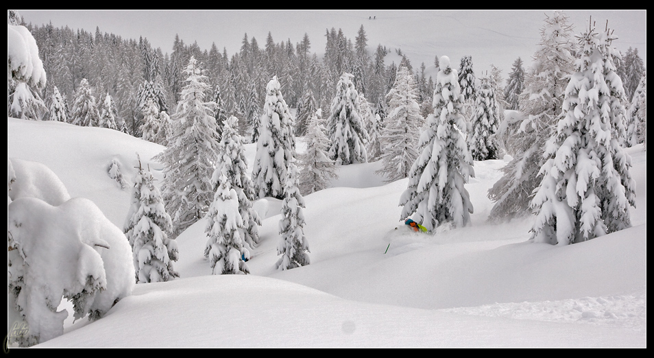 59854-freeriding-dolomiti.jpg