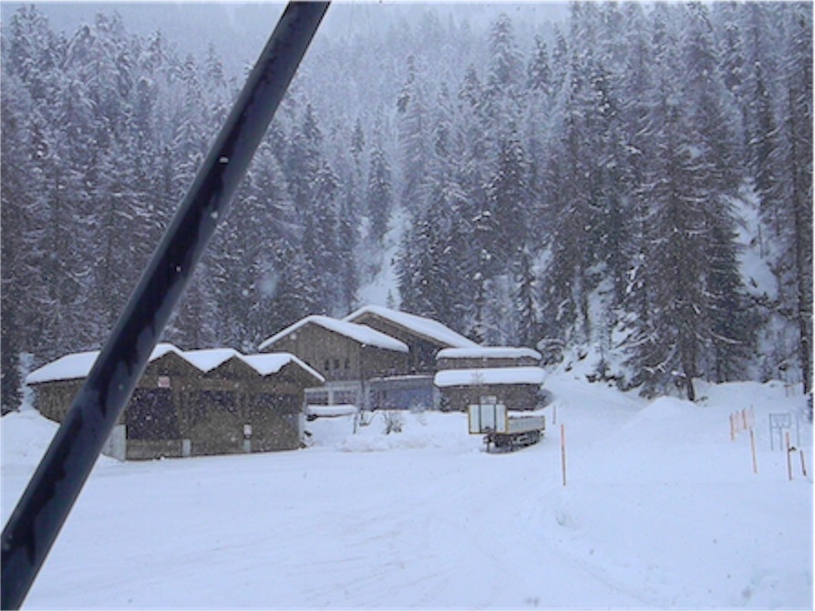 59870-sils.jpg