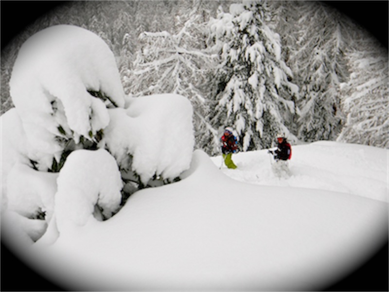 59877-sils-contorno.jpg