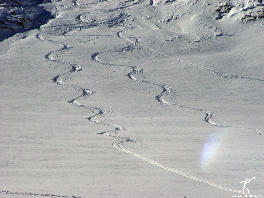6066-curve-nevefresca.jpg