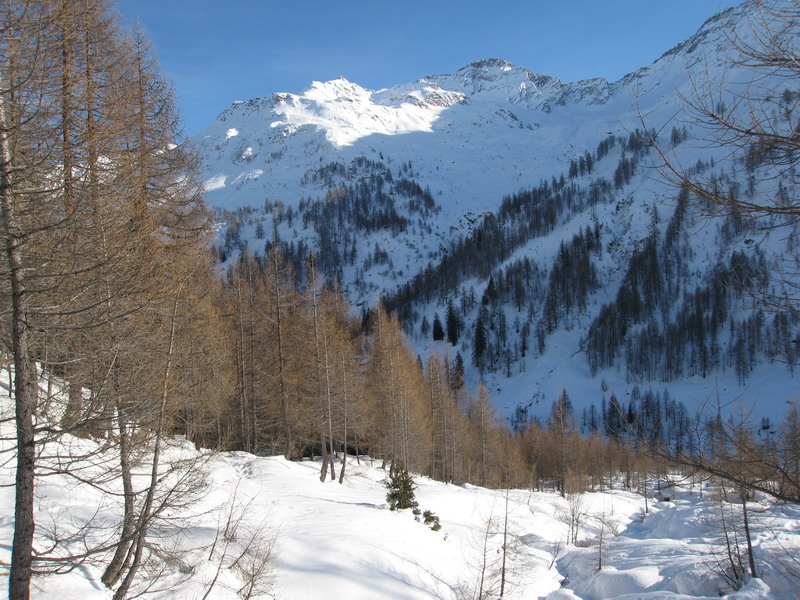 60802-sfimg4709.jpg