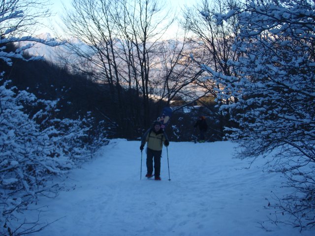 61065-20101231005.jpg