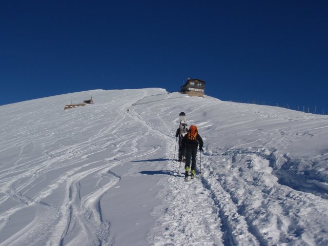 61069-20101231018.jpg