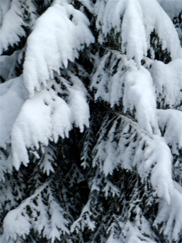 61132-scaled-image-4.jpg
