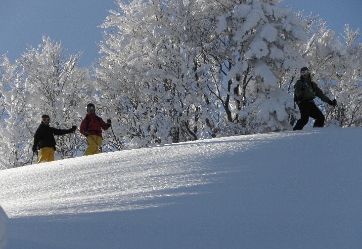 61697-01-02-2011-208a.jpg