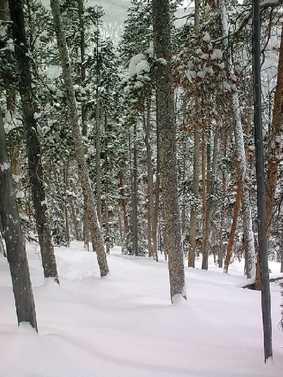 62090-08022011003.jpg