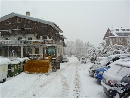 62478-limone.jpg
