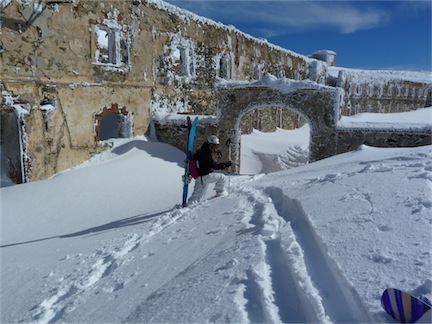 62489-limone12.jpg