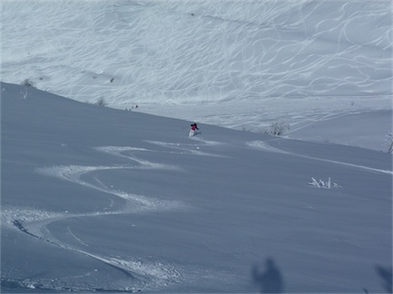 62491-limone14.jpg