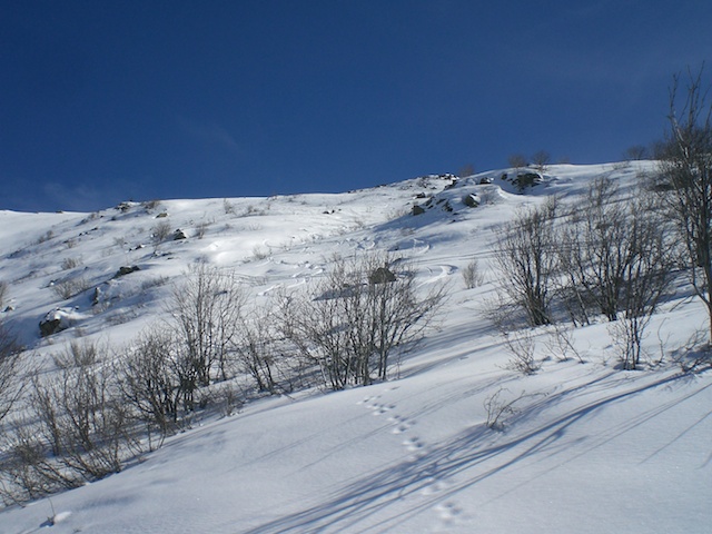 62908-cimg0958.jpg