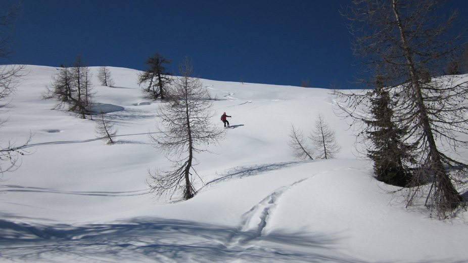 63330-boschetti-alpe-tognola.jpg