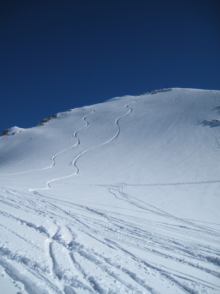 63397-copia-di-img3932.jpg