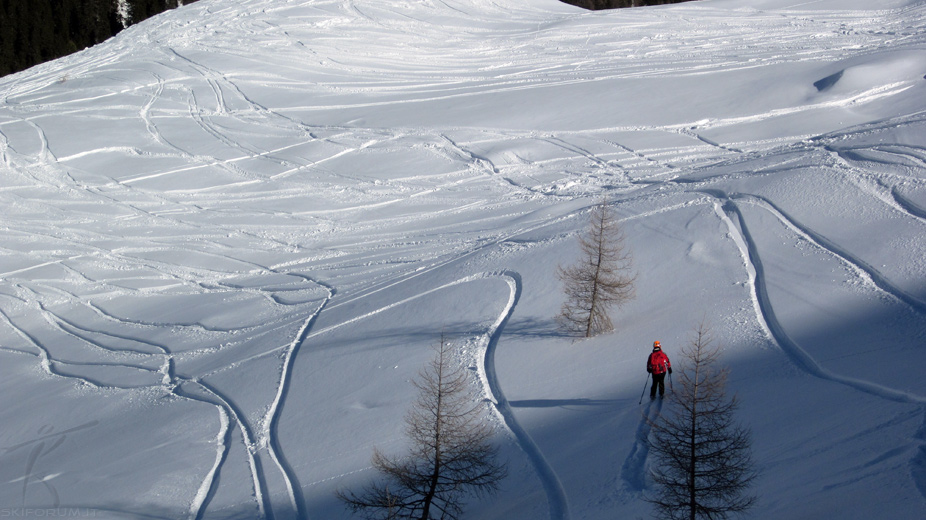 63436-neve-fresca-castrozza.jpg