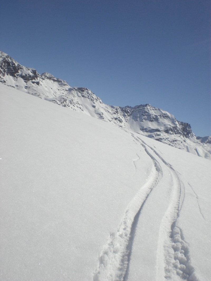 63647-traccai-2.jpg