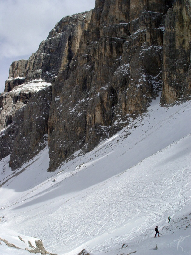 6491-freeski-dolomiti.jpg