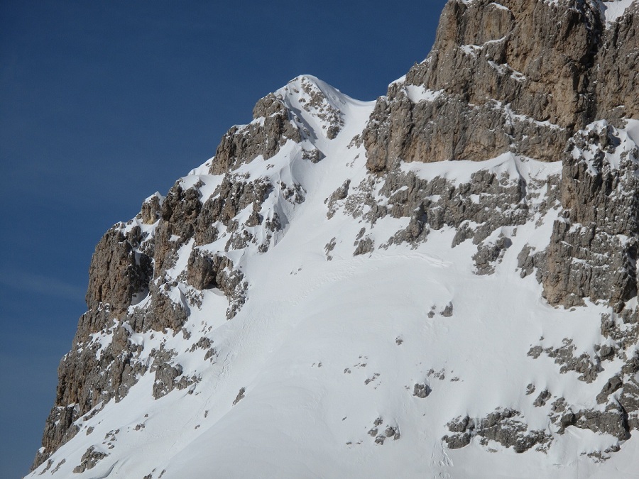 66600-pala3.jpg