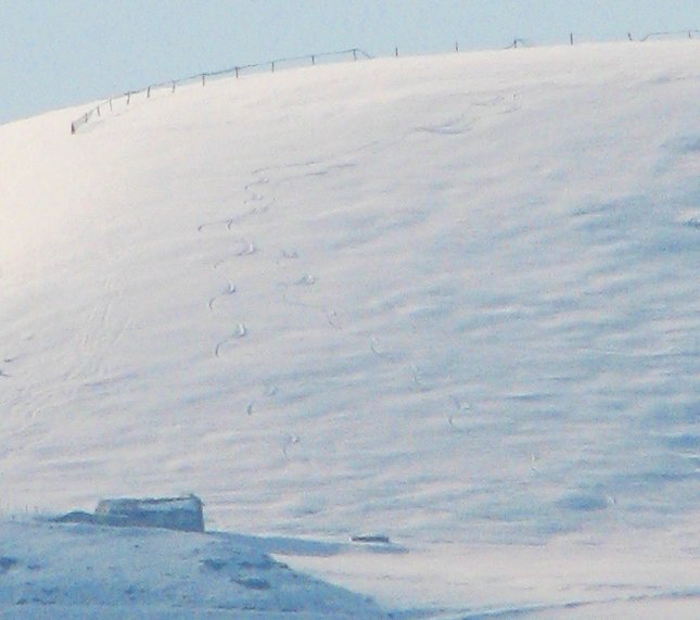 7237-img1227.jpg