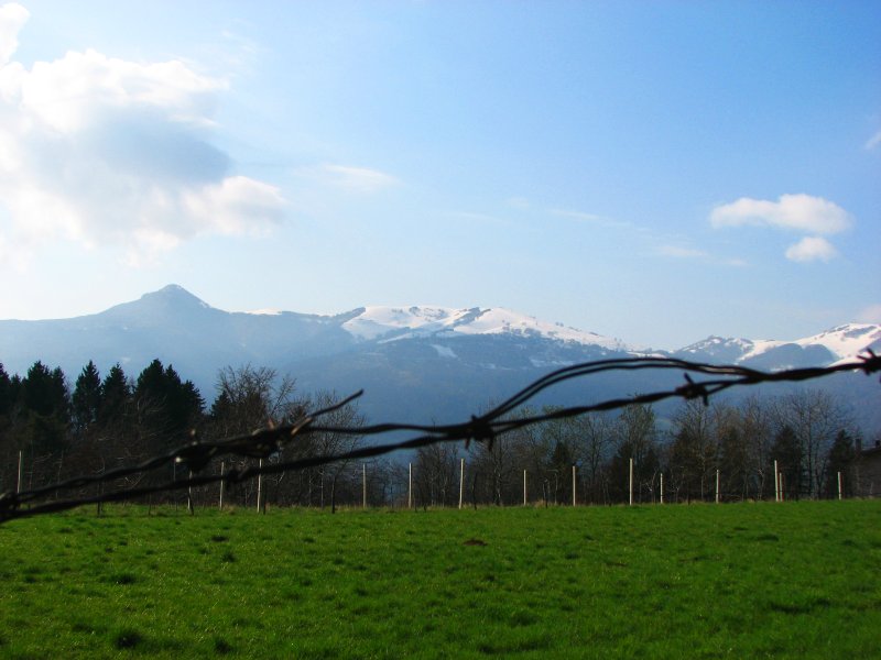 7256-img1225.jpg