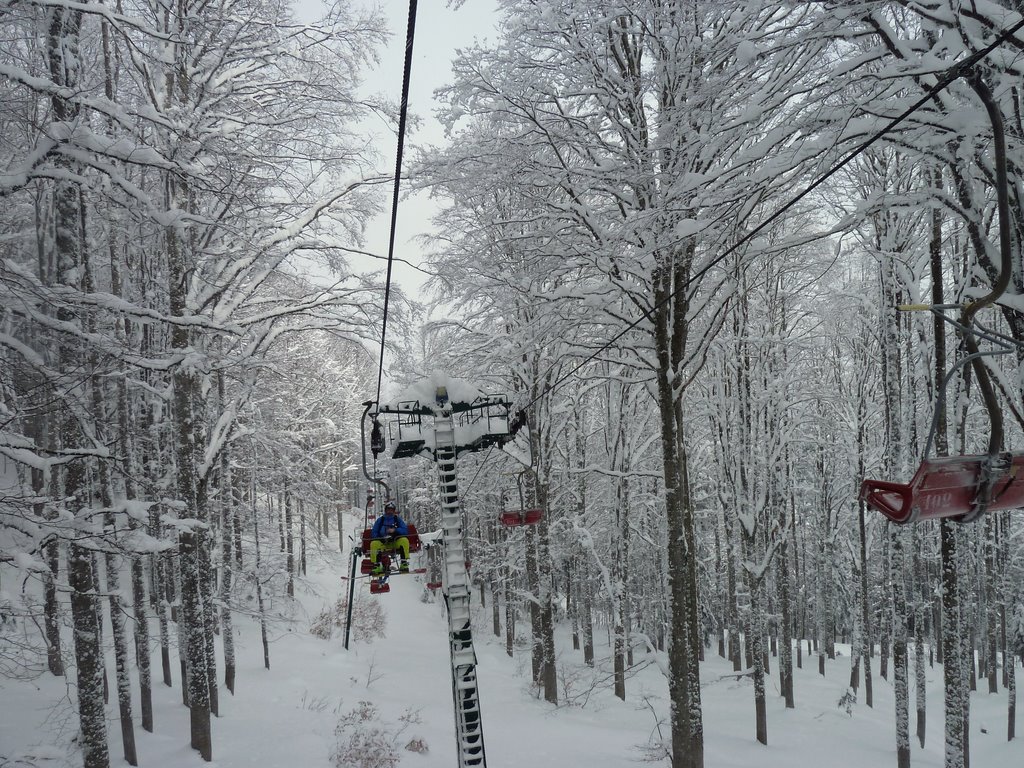 72922-p1020289.jpg