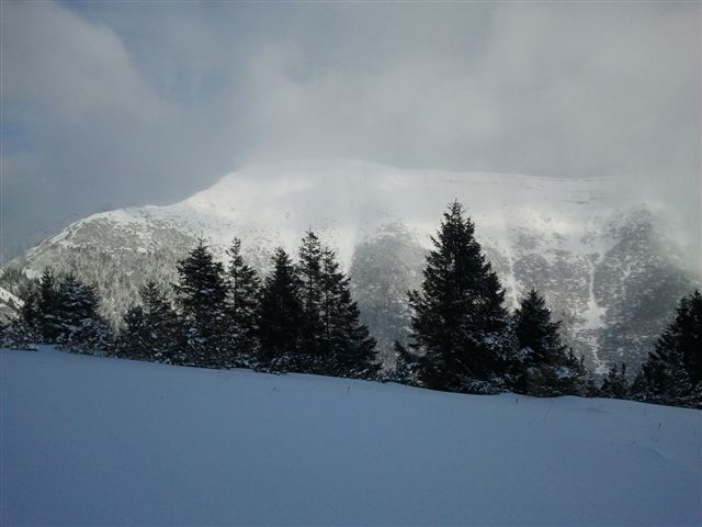 73417-cima-larici.jpg