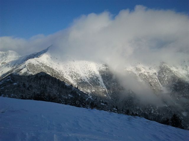 73418-cima-larici-1.jpg