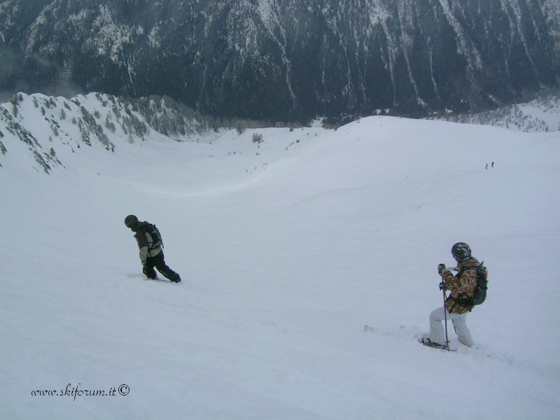 7364-grand-montets-powder1.jpg