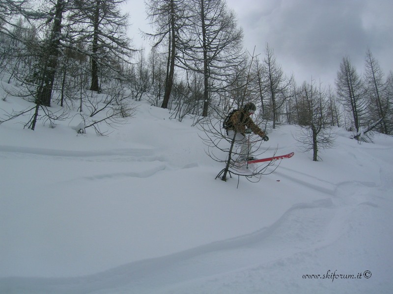7365-grand-montets-powder2.jpg