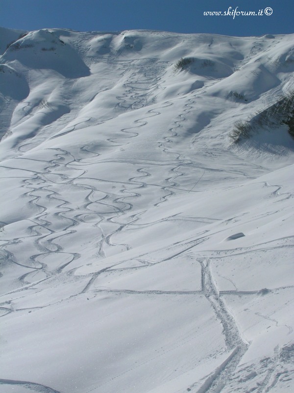7380-freeride1-panoramica2.jpg
