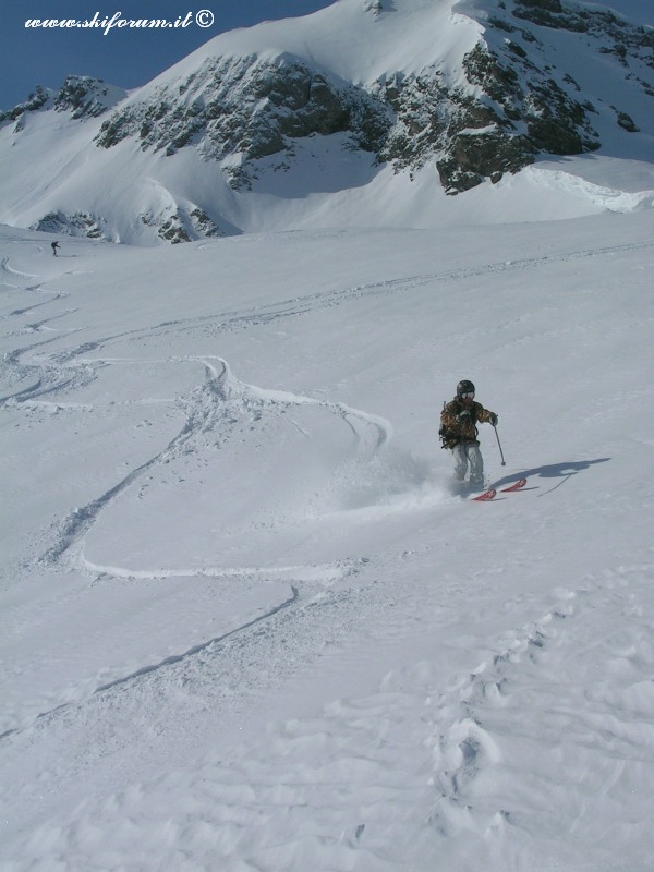 7383-sabato-powder2.jpg