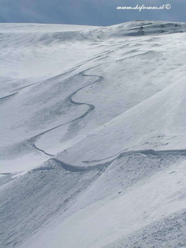 7384-sabato-powder5.jpg