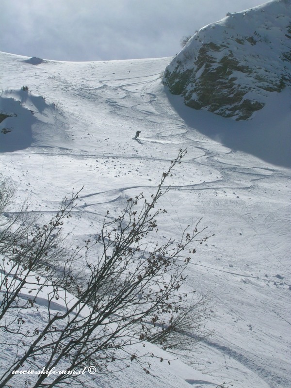 7385-sabato-powder6.jpg