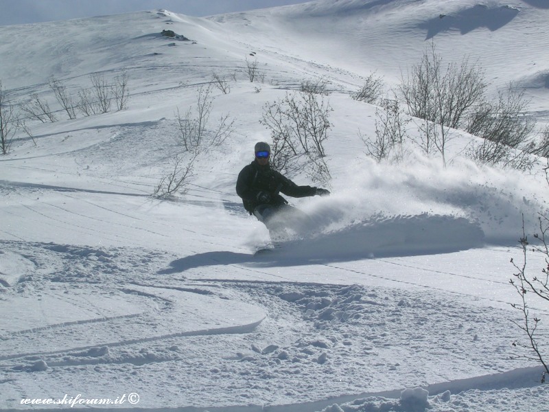 7386-sabato-powder7.jpg