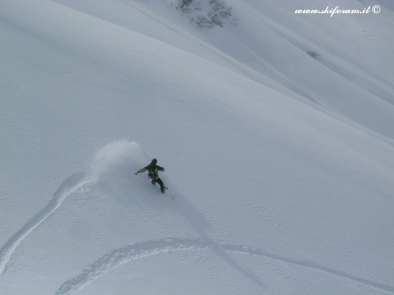 7387-sabato-powder8.jpg