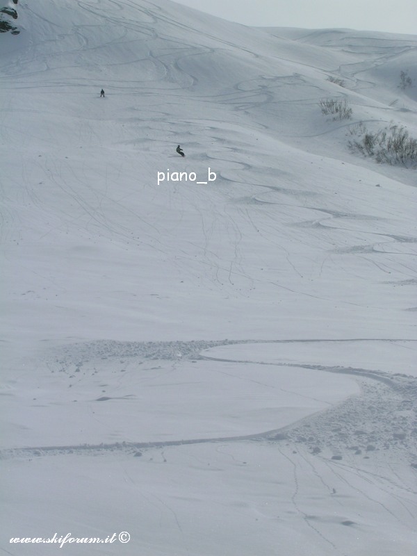 7388-sabato-powder9.jpg
