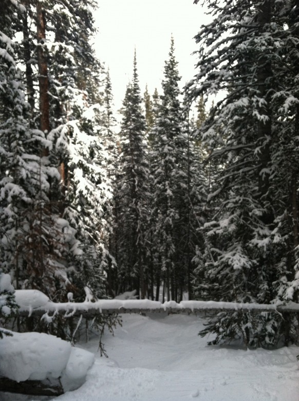 74800-img0322.jpg