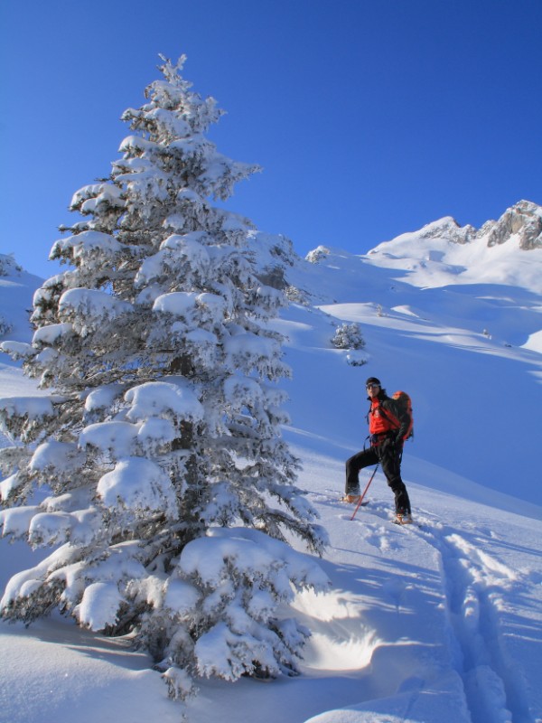 74993-img1822-mod-800x600.jpg