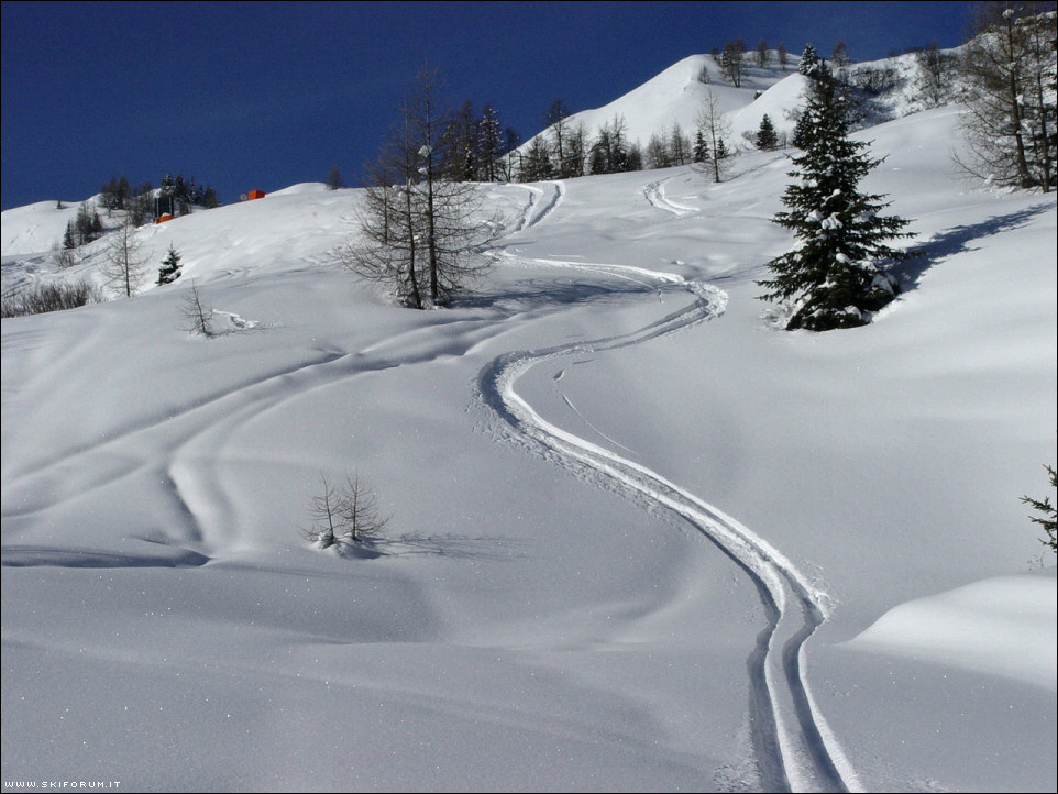 756-curve-mondiali.jpg