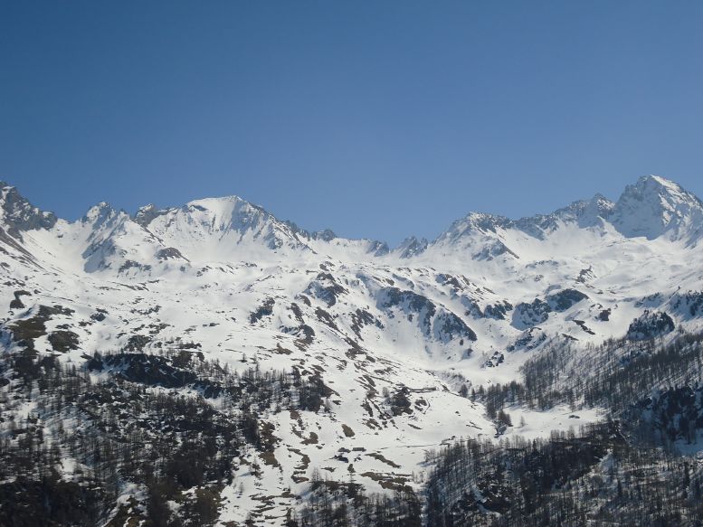 75637-resizeddsc01004.jpg