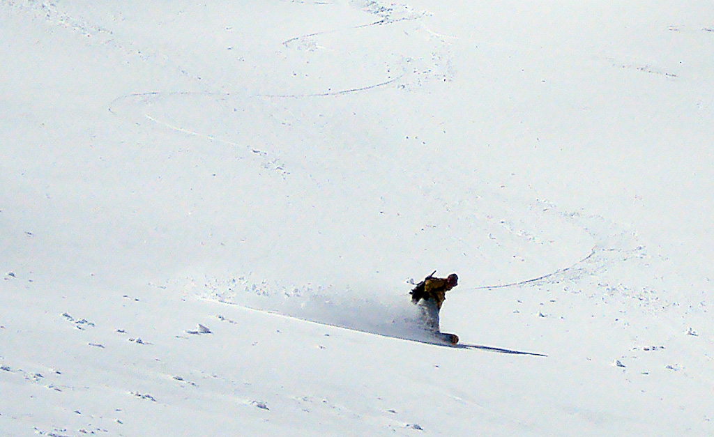 77349-dsc07708crop.jpg
