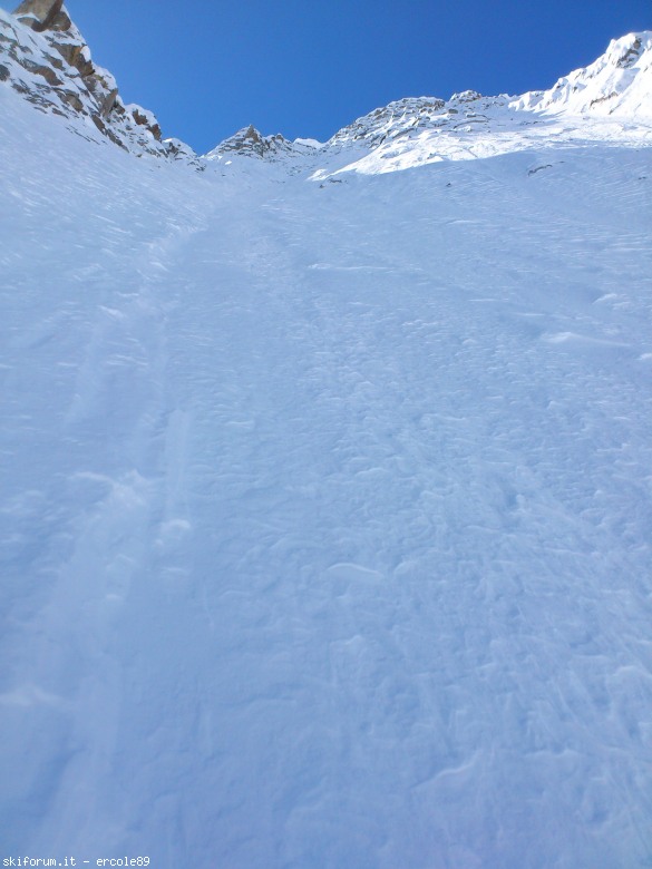 77797-15.jpg