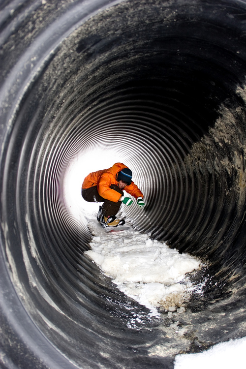81799-born-to-snowboard.jpg
