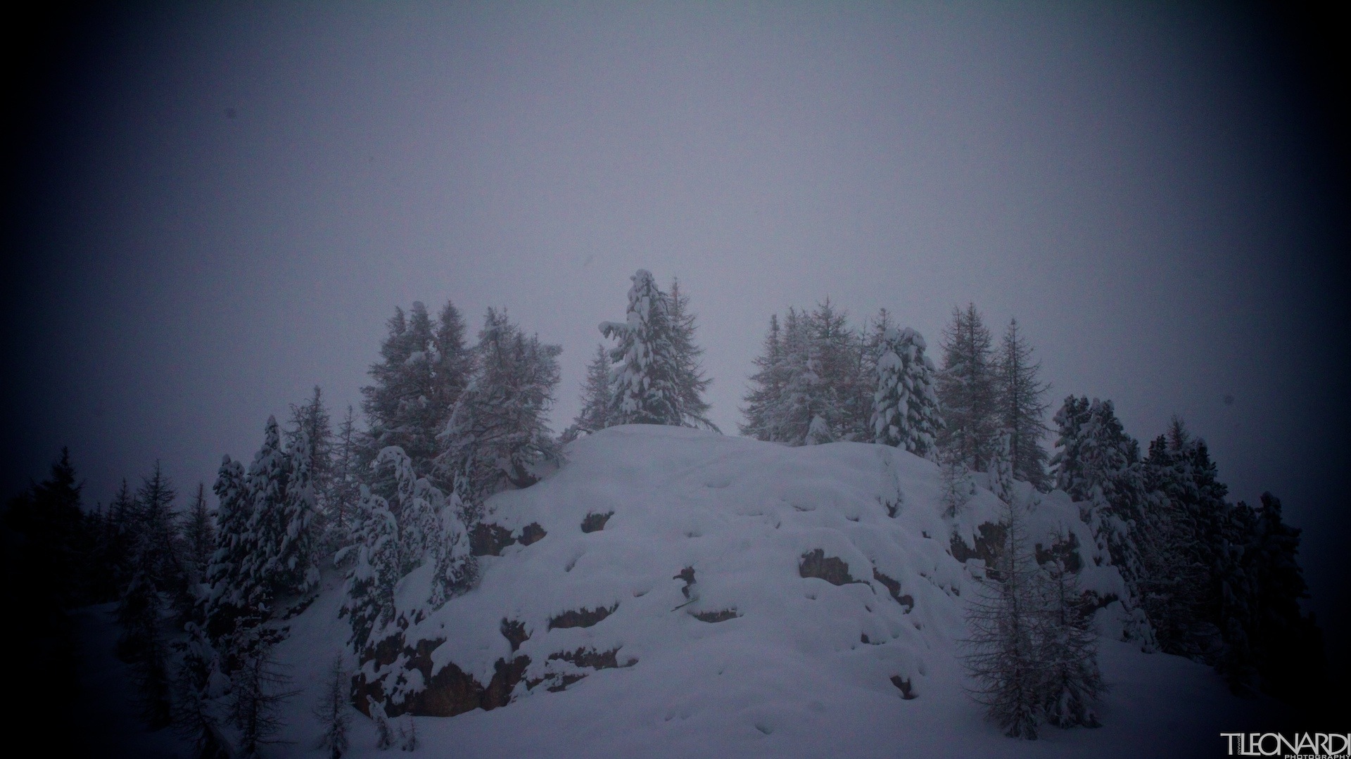85215-tleonardiphoto-007.jpg