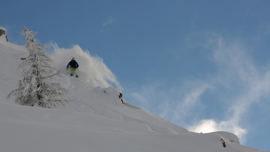 85333-powder01.jpg