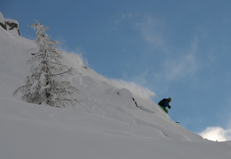 85334-powder-02.jpg