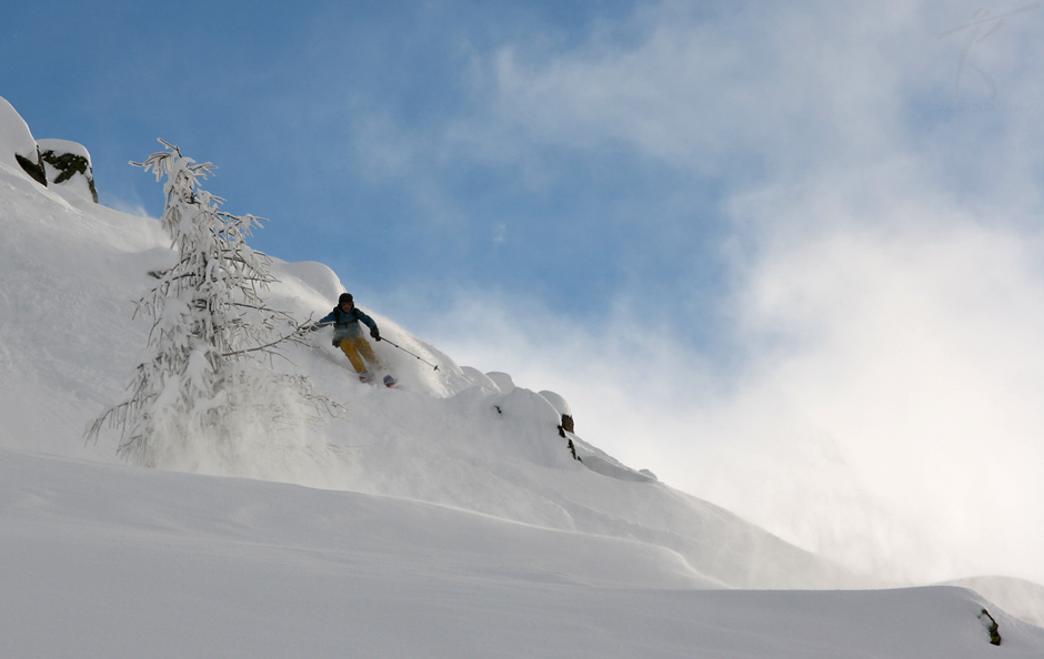 85335-powder-03.jpg