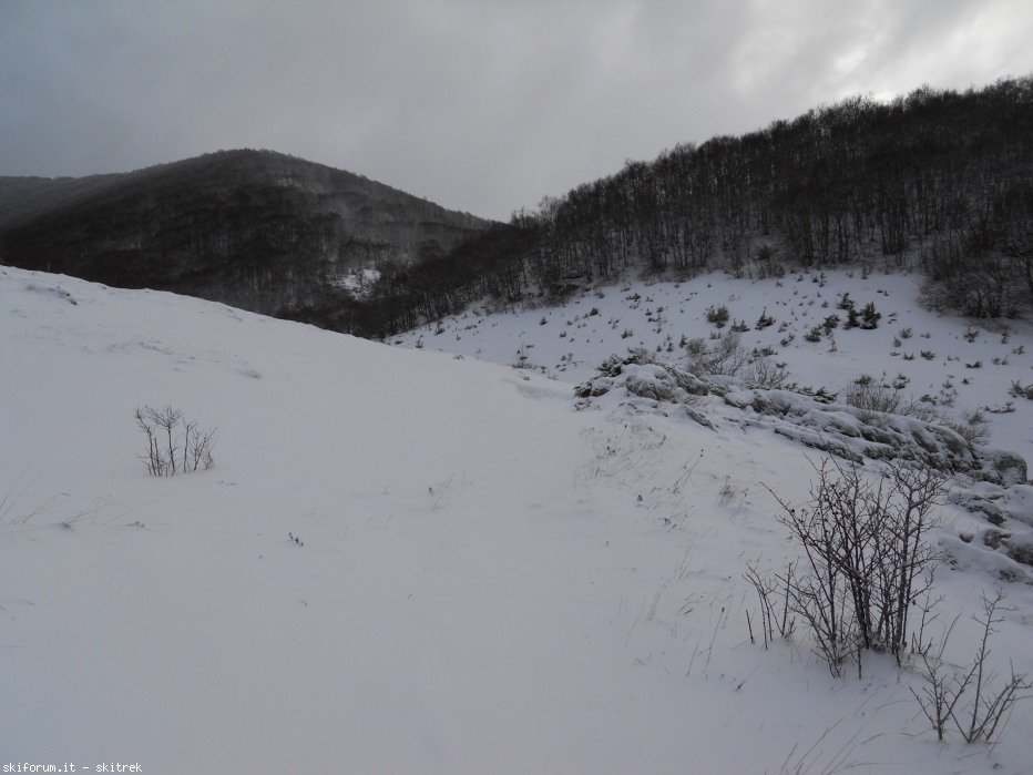 87401-dscn0298.jpg